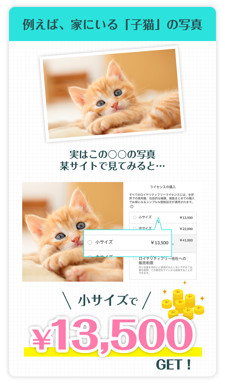 例えば、家にいる「子猫」の写真...