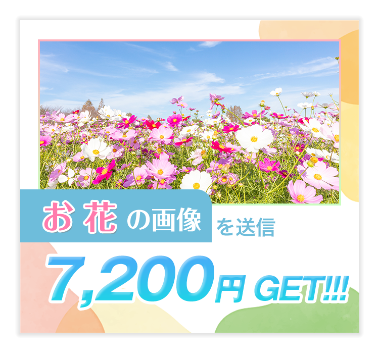 お花...