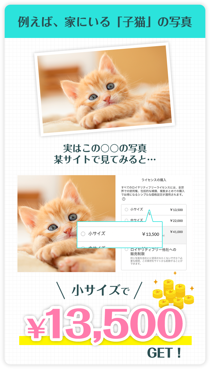 例えば、家にいる「子猫」の写真...