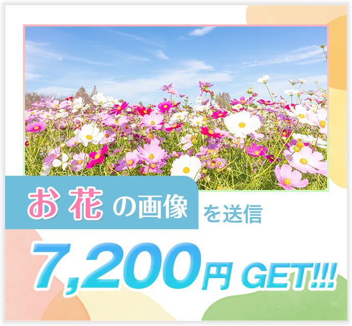 お花...